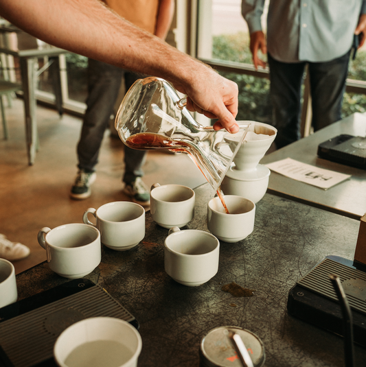 image of person pouring coffee from brewer into cups
