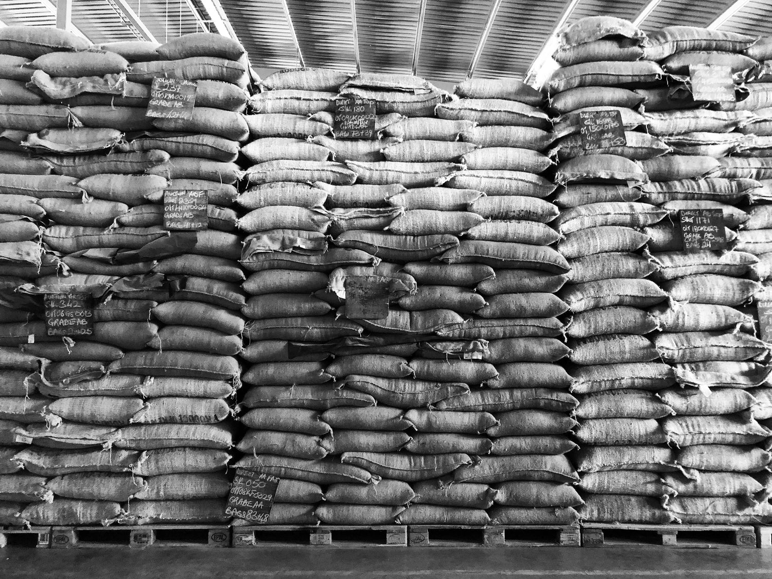 Stacked burlap coffee sacks in a warehouse