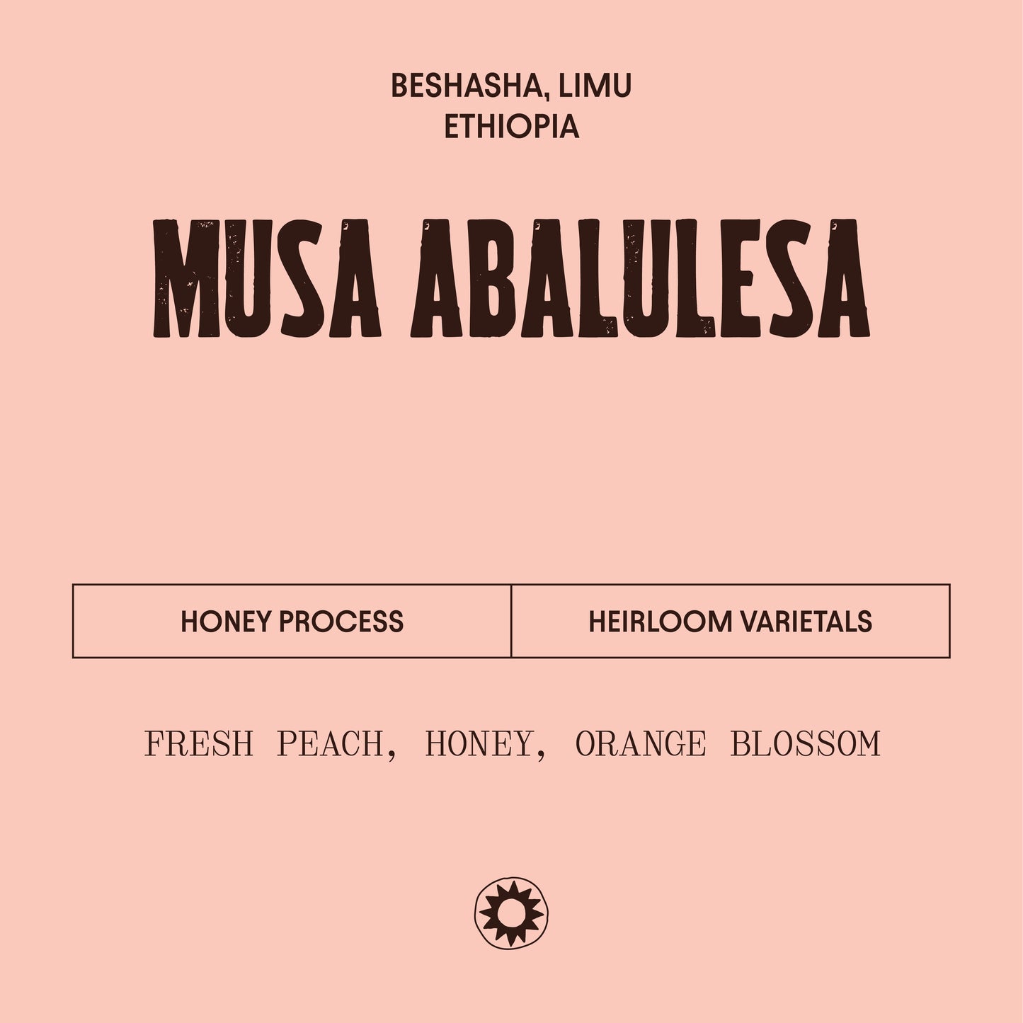 Ethiopia - Musa Abalulesa - Honey Process