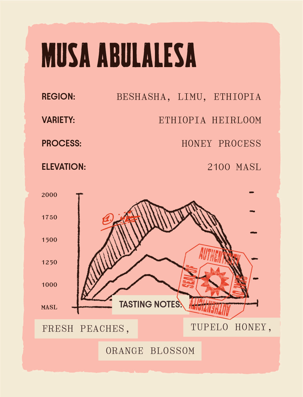 Ethiopia - Musa Abalulesa - Honey Process