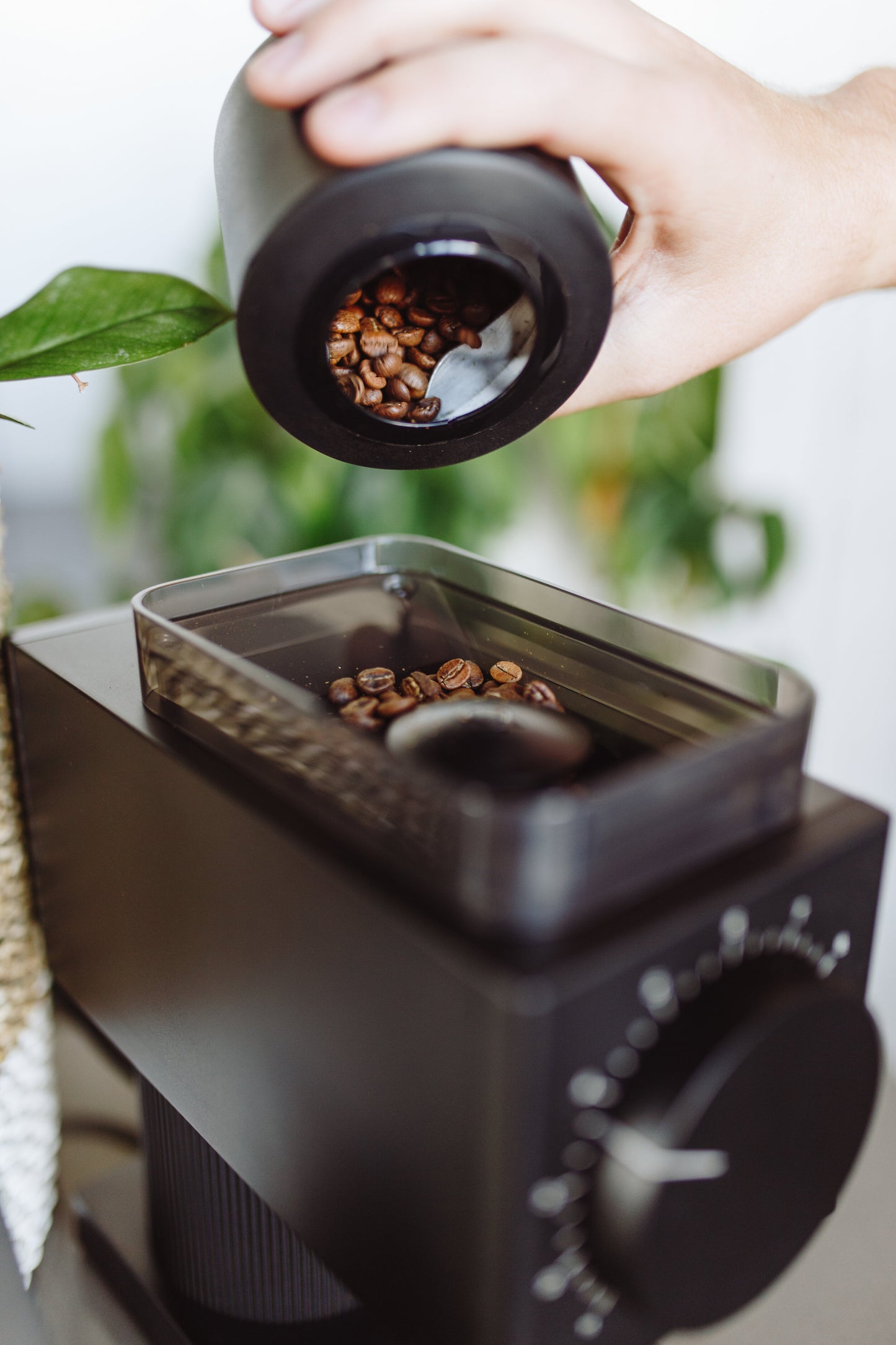 Product image of FELLOW coffee grinder in black 